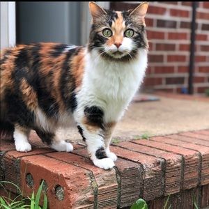 Meet your Posher, Katerina